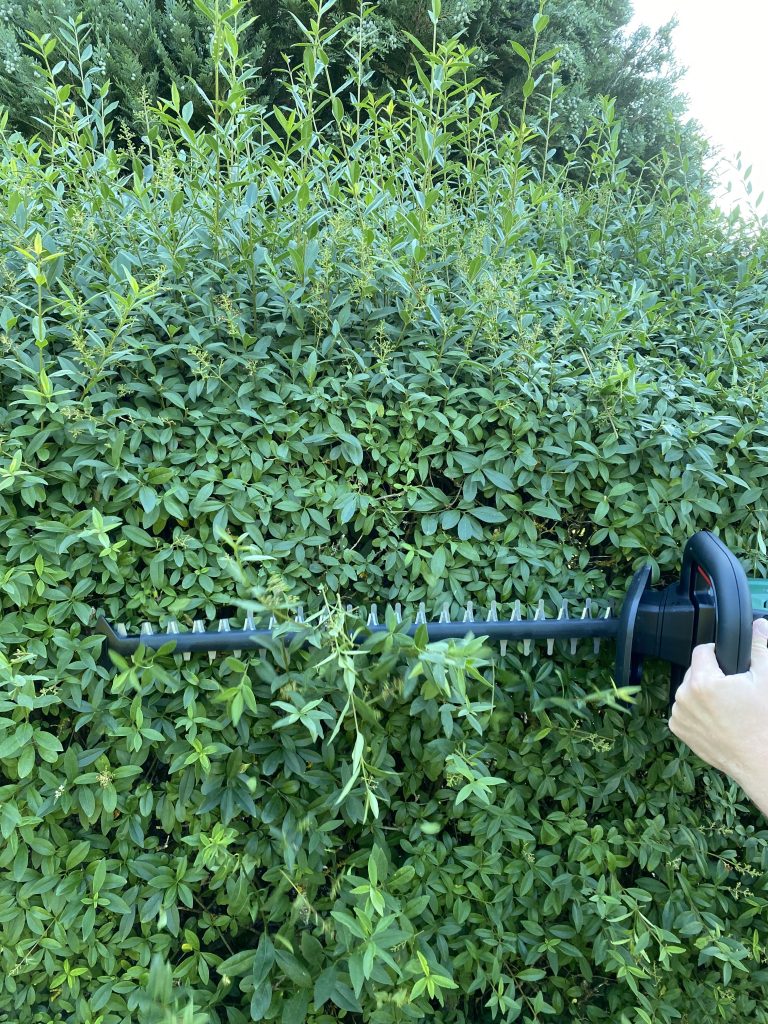 Bosch Universal Hedge Cut 18-55 Akku-Heckenschere Hecke schneiden 4