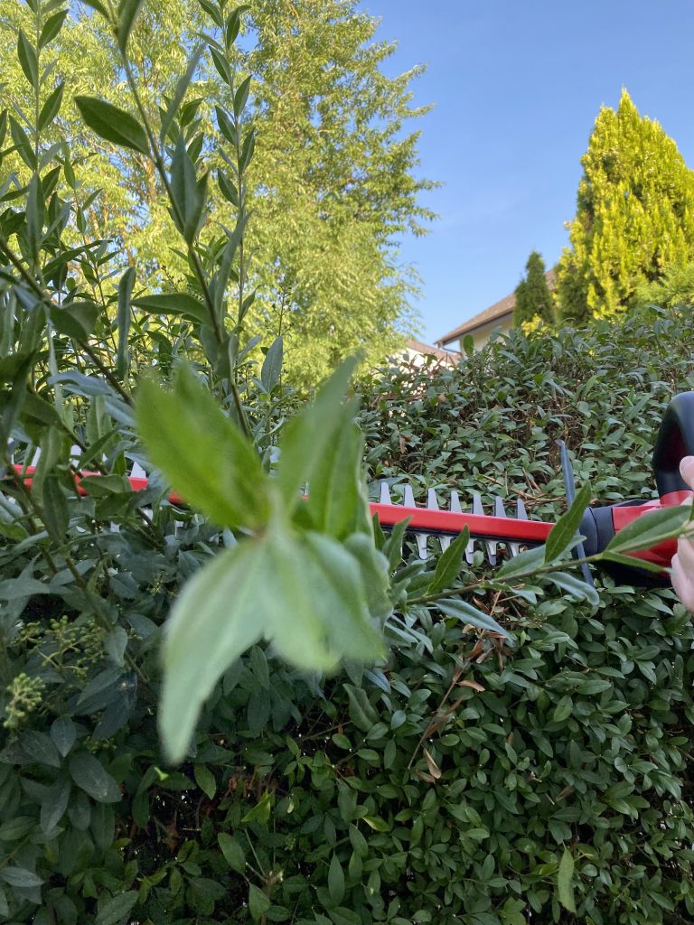 Einhell GE-CH 1846 Li Akku-Heckenschere Hecke schneiden 4
