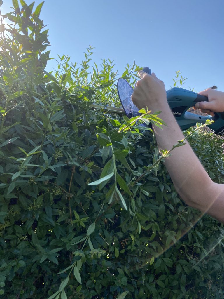 Makita DUH523RF Akku-Heckenschere Hecke schneiden 4