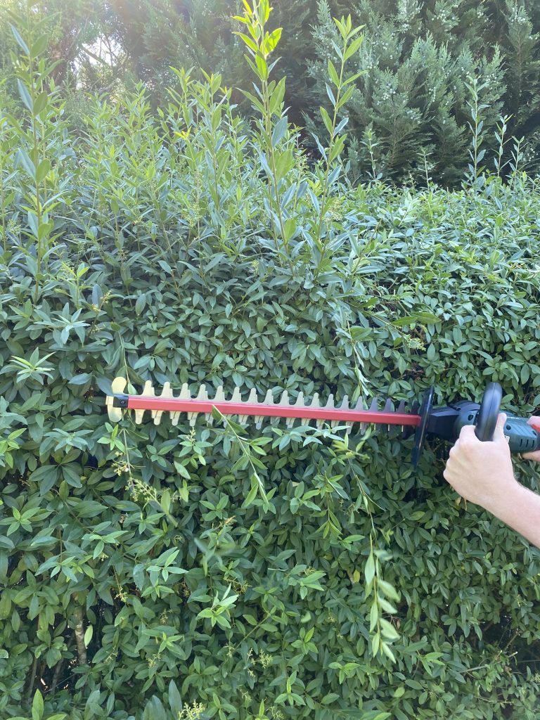Metabo HS 18 LTX 55 Akku-Heckenschere Hecke schneiden 3