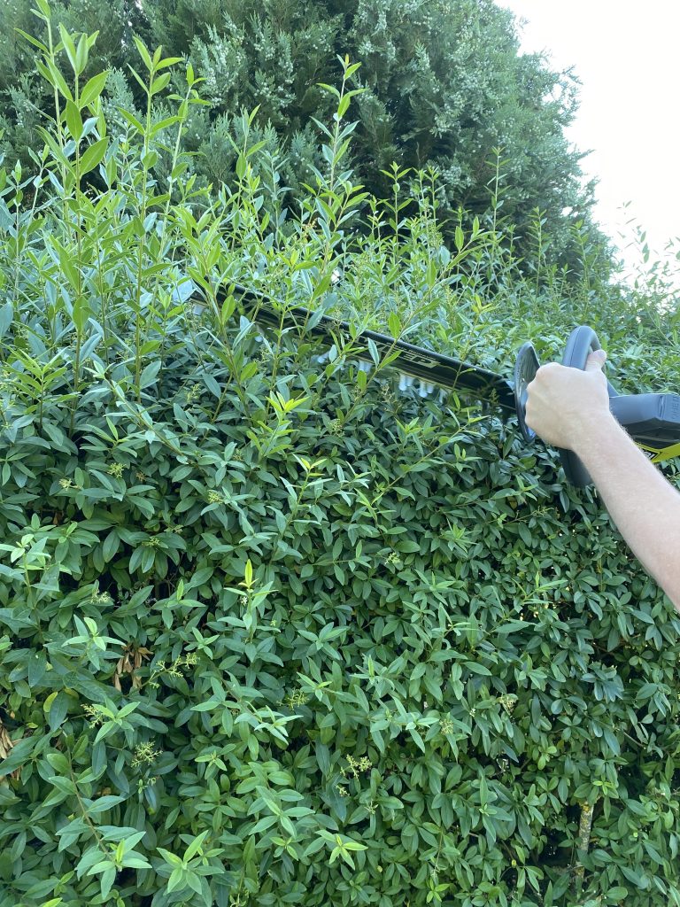 Ryobi ONE+ RY18HT45A-120 Akku-Heckenschere Hecke schneiden 2