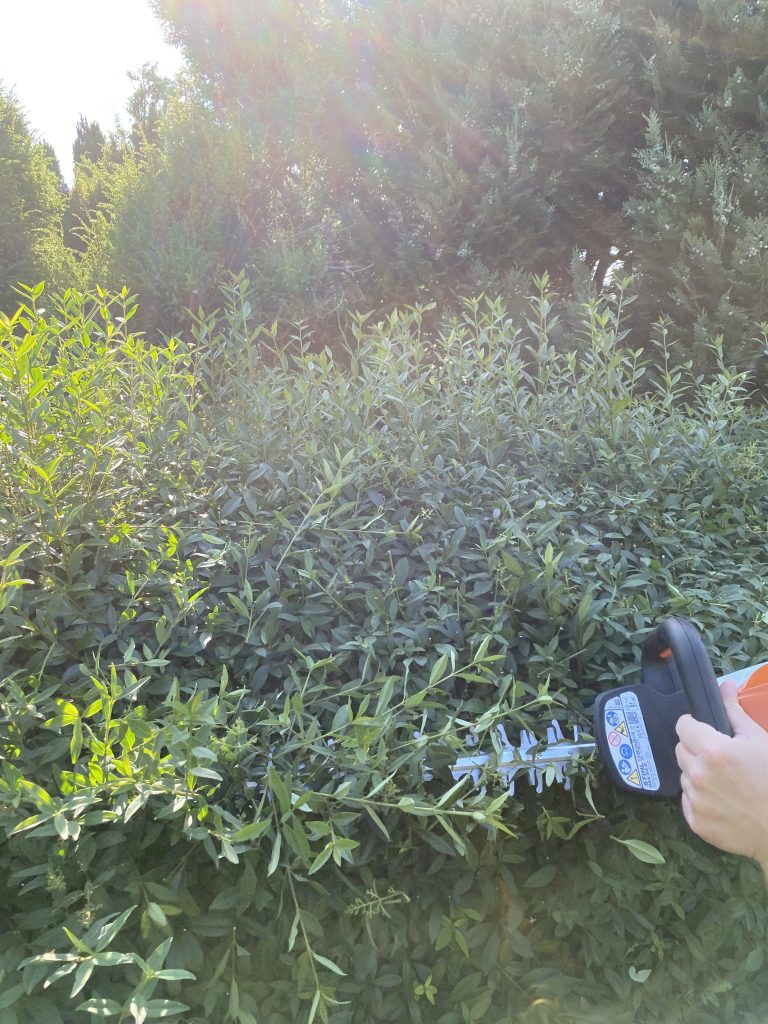 Stihl HSA 50 Akku-Heckenschere Hecke schneiden 4