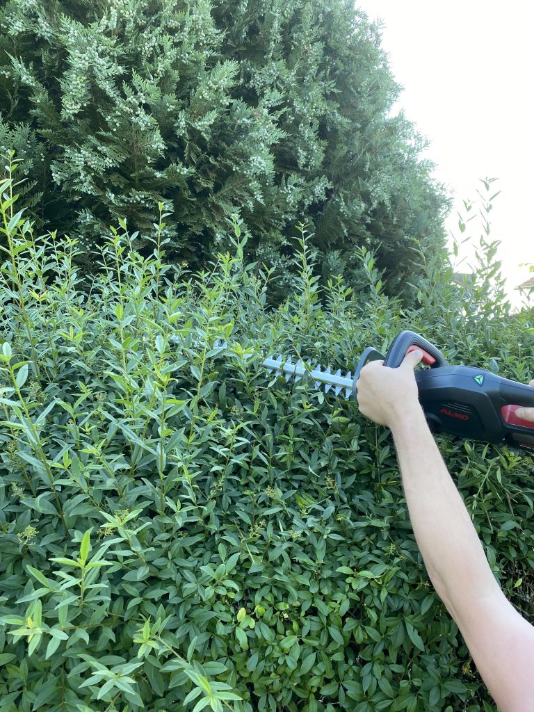 AL-KO HT 1845 Akku-Heckenschere Hecke schneiden 5