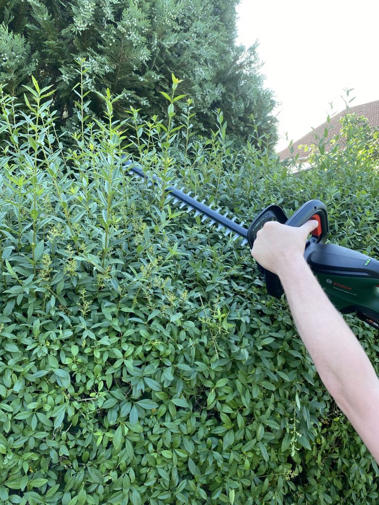 Bosch Universal Hedge Cut 18-55 Akku-Heckenschere Hecke schneiden 5