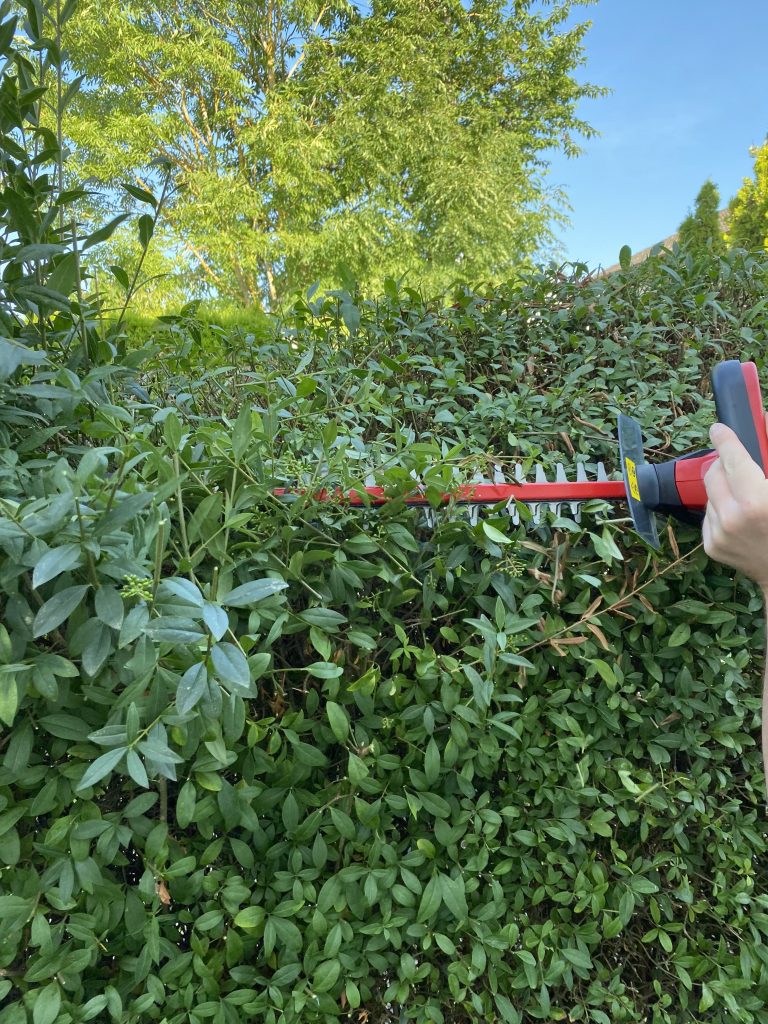 Einhell GE-CH 1846 Li Akku-Heckenschere Hecke schneiden 5
