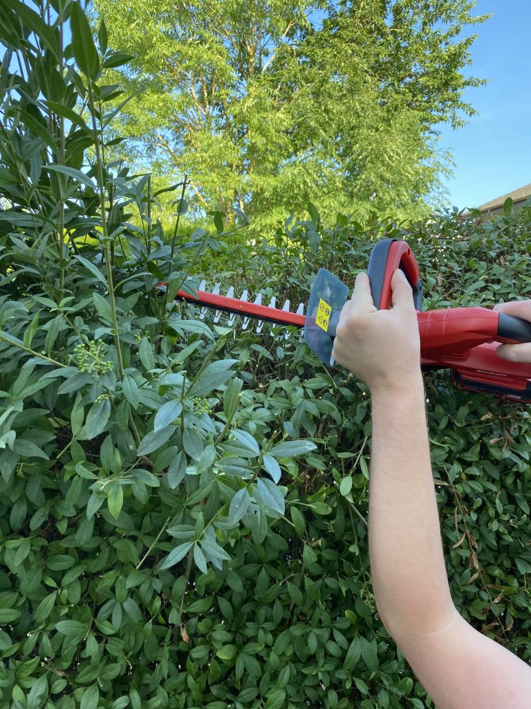 Einhell GE-CH 1846 Li Akku-Heckenschere Hecke schneiden 6