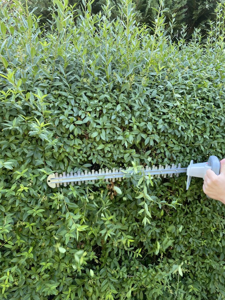 IKRA IAHS 20-1 Akku-Heckenschere Hecke schneiden 4