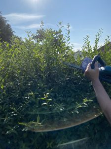 Makita DUH523RF Akku-Heckenschere Hecke schneiden 5