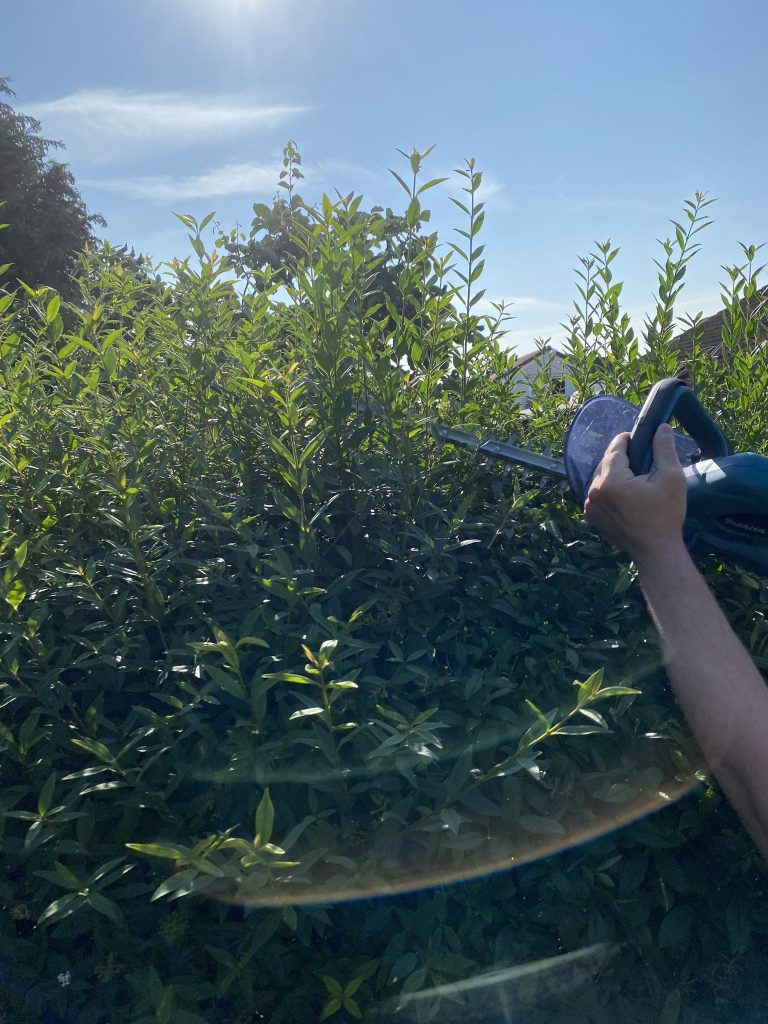Makita DUH523RF Akku-Heckenschere Hecke schneiden 5