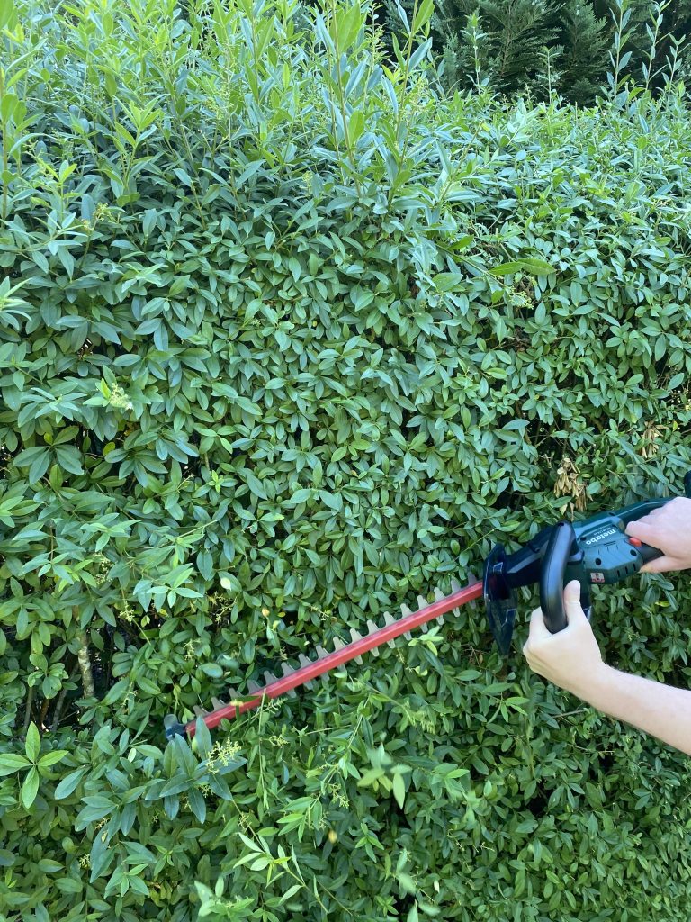 Metabo HS 18 LTX 55 Akku-Heckenschere Hecke schneiden 4