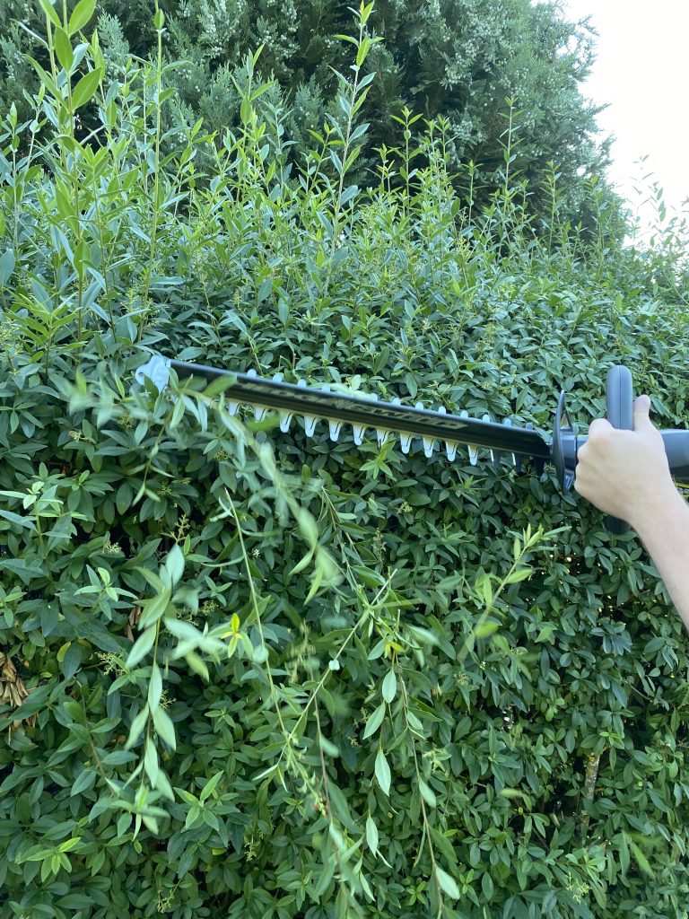 Ryobi ONE+ RY18HT45A-120 Akku-Heckenschere Hecke schneiden 3
