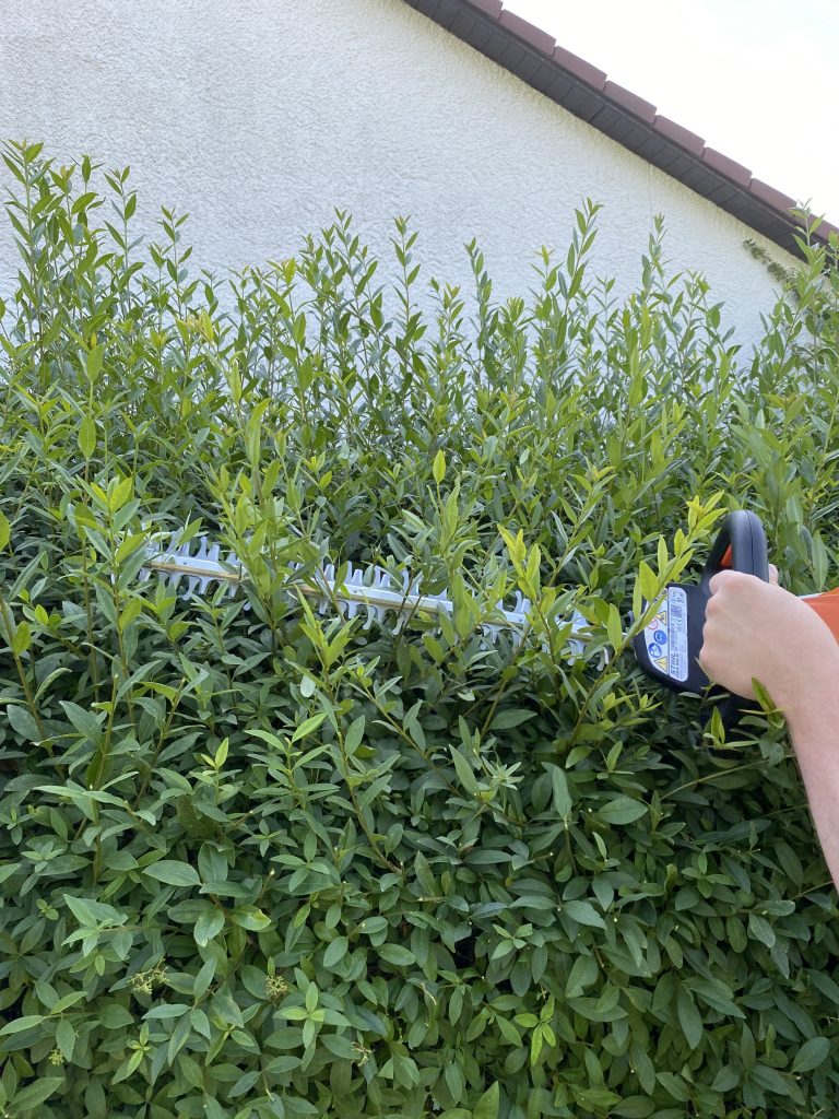 Stihl HSA 50 Akku-Heckenschere Hecke schneiden 5