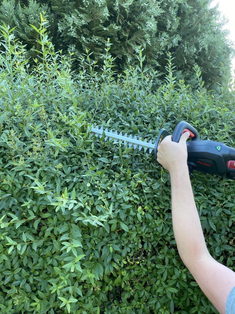 AL-KO HT 1845 Akku-Heckenschere Hecke schneiden 6