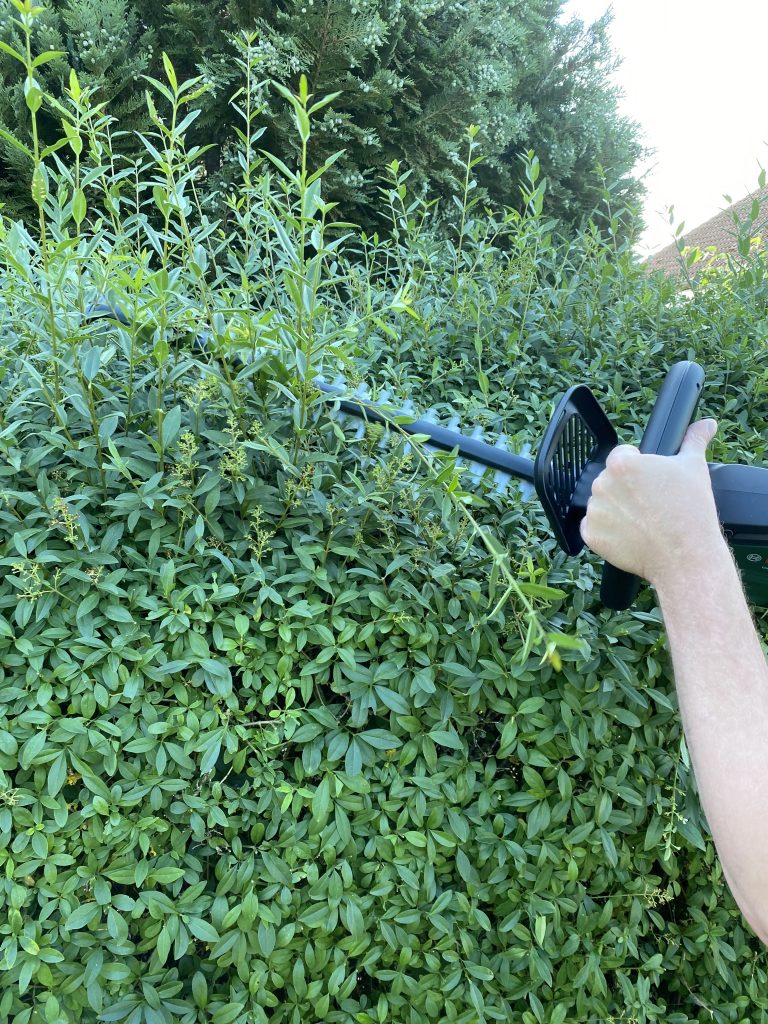 Bosch Universal Hedge Cut 18-55 Akku-Heckenschere Hecke schneiden 6