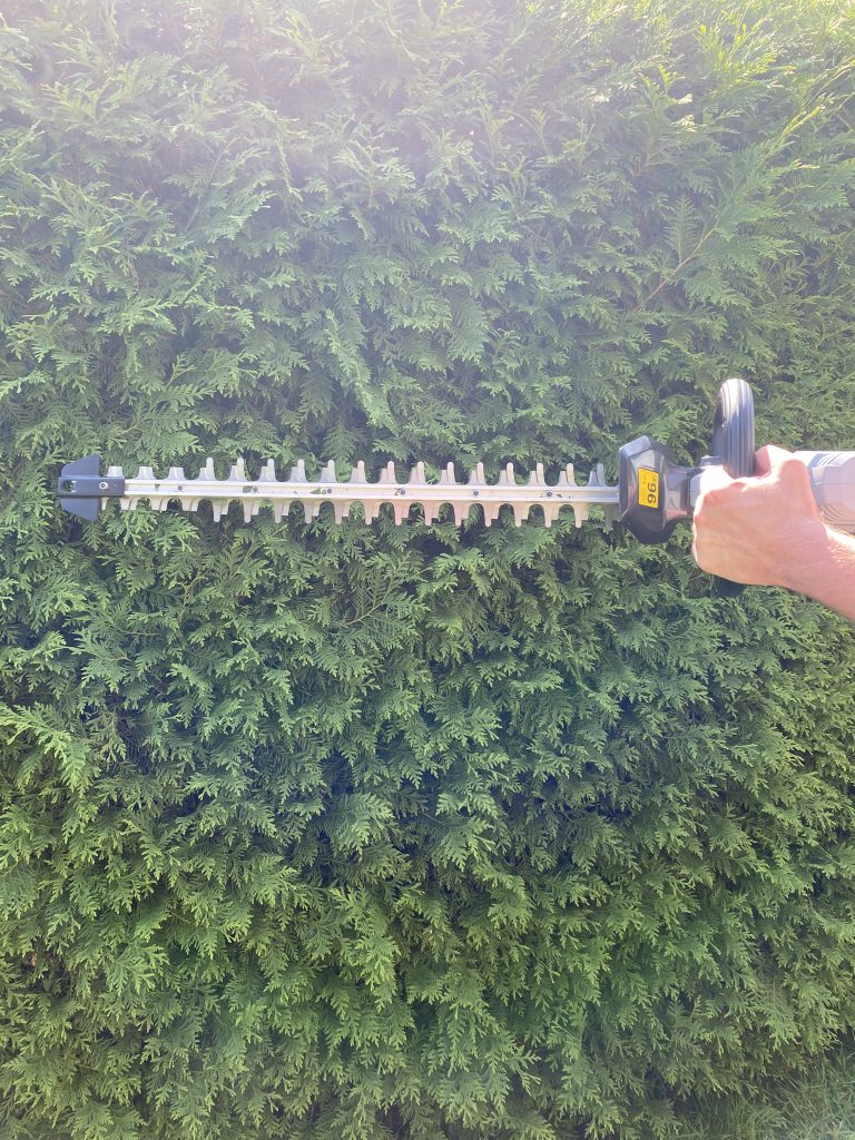 EGO HT2410E Akku-Heckenschere Thuja schneiden 1