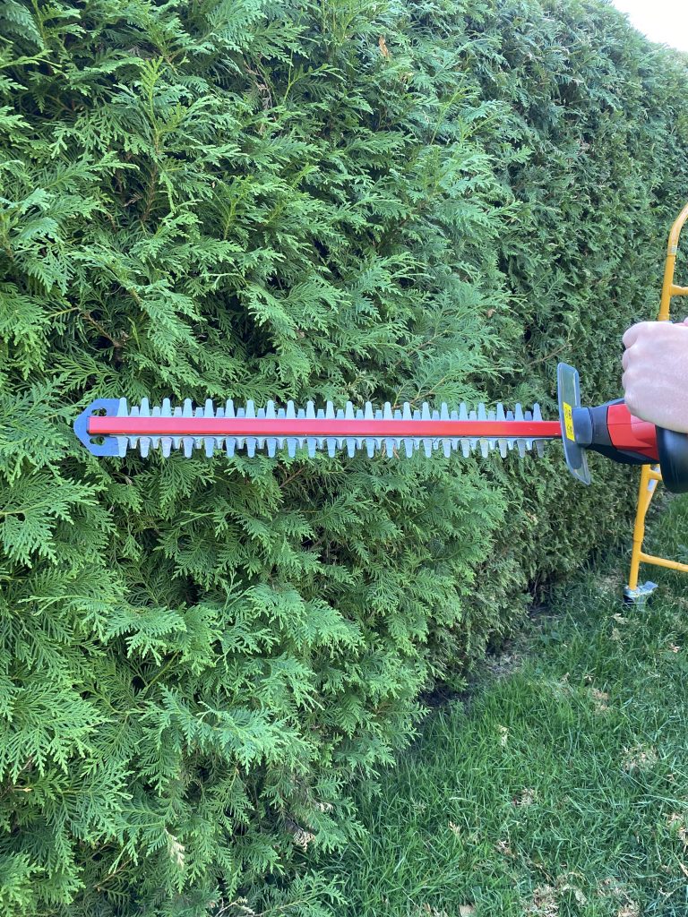 Einhell GE-CH 1846 Li Akku-Heckenschere Thuja schneiden 1