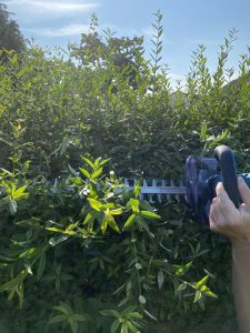 Makita DUH523RF Akku-Heckenschere Hecke schneiden 6
