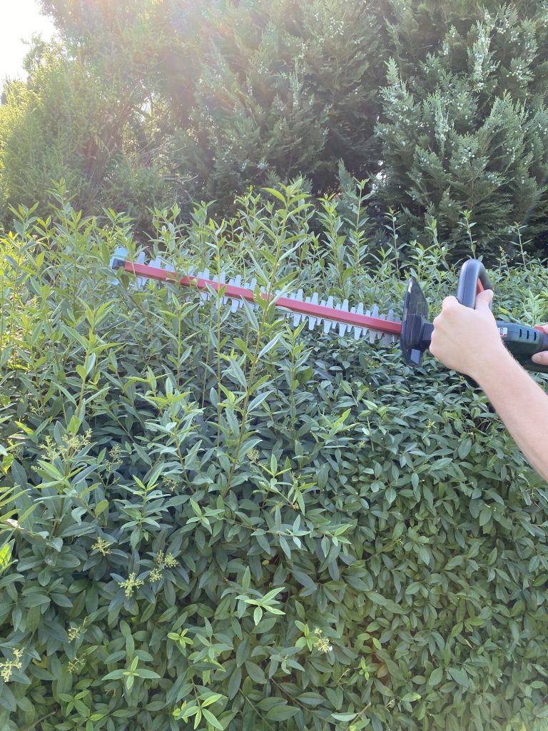 Metabo HS 18 LTX 55 Akku-Heckenschere Hecke schneiden 5