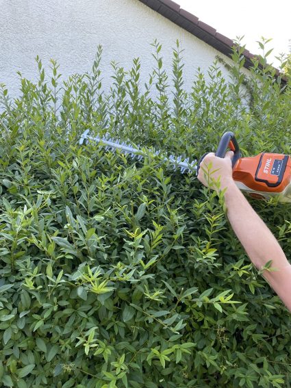 Stihl HSA 50 Akku-Heckenschere Hecke schneiden 6