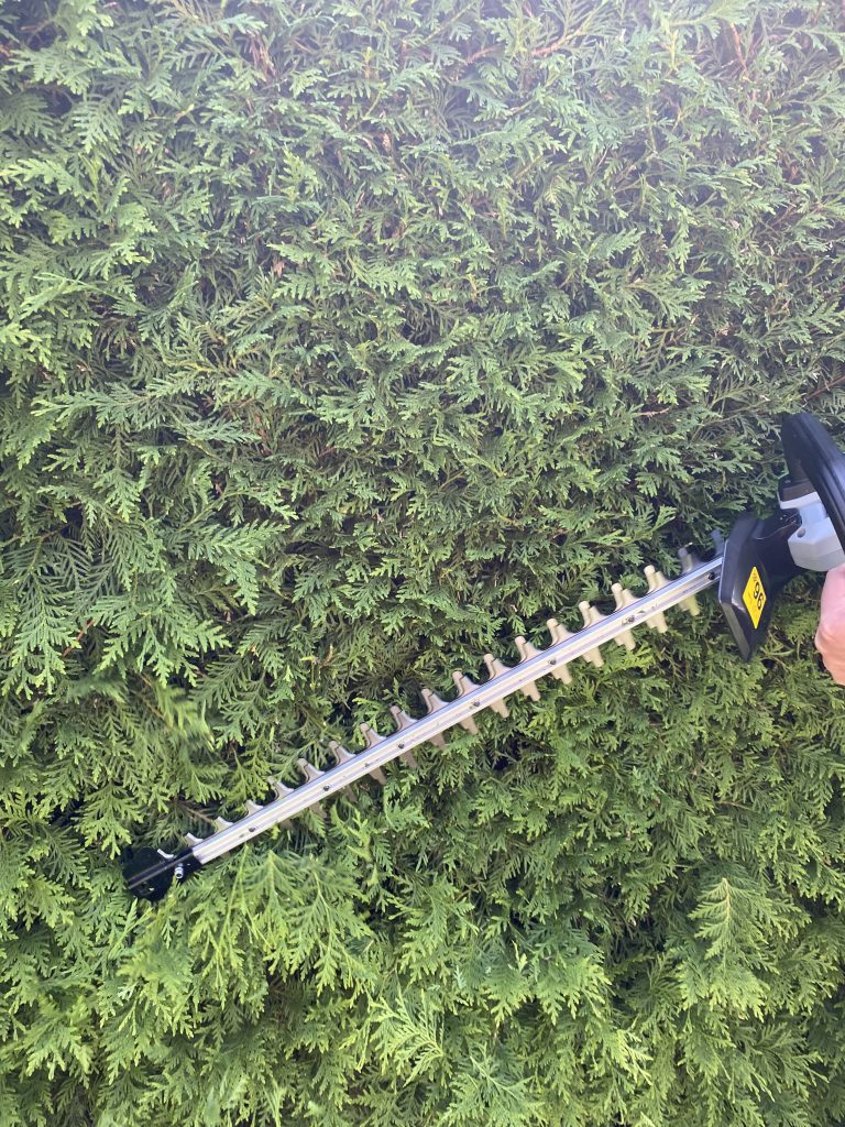 EGO HT2410E Akku-Heckenschere Thuja schneiden 2