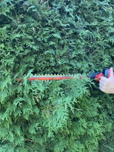 Einhell GE-CH 1846 Li Akku-Heckenschere Thuja schneiden 2