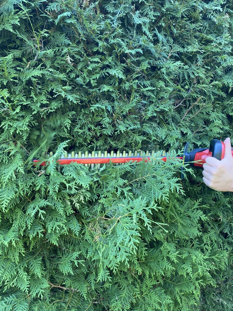Einhell GE-CH 1846 Li Akku-Heckenschere Thuja schneiden 2