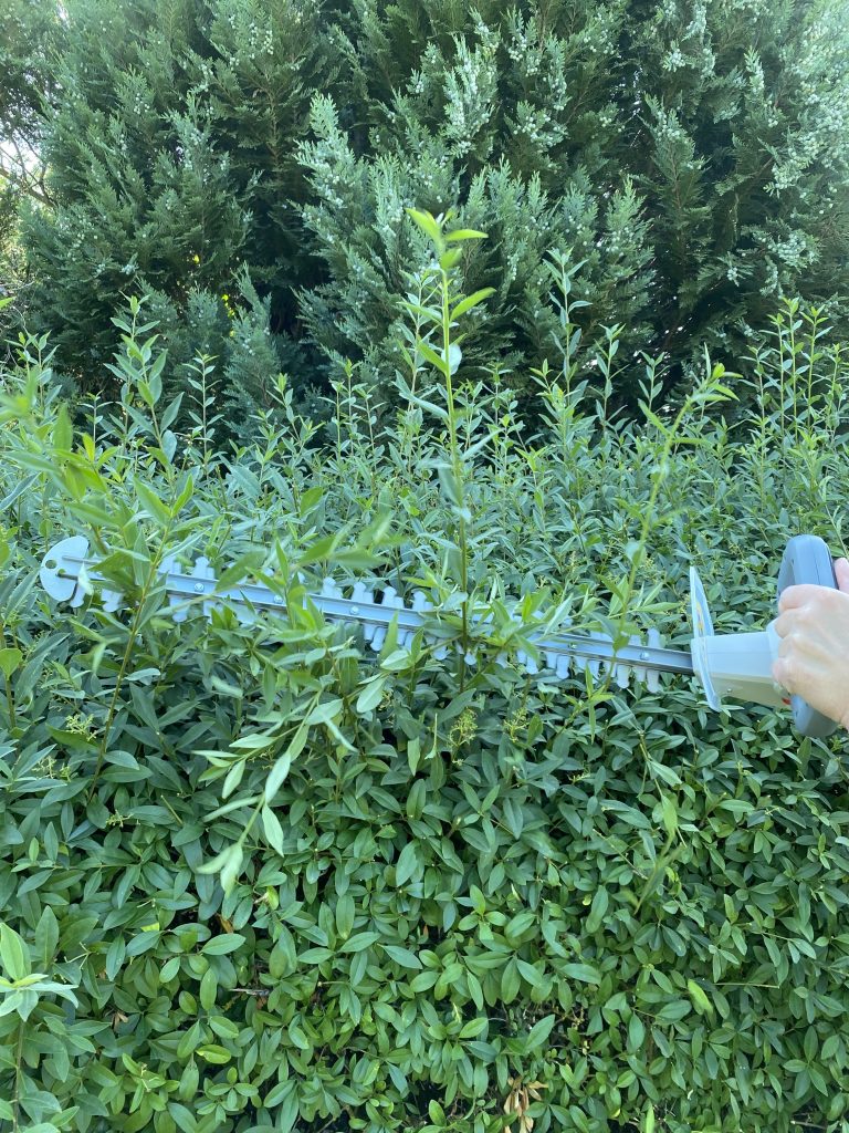 IKRA IAHS 20-1 Akku-Heckenschere Hecke schneiden 6