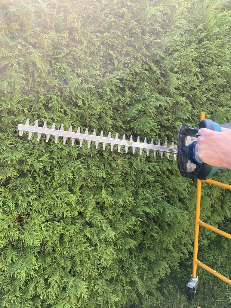 Makita DUH523RF Akku-Heckenschere Thuja schneiden 1