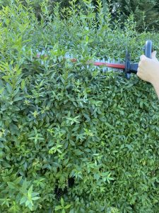 Metabo HS 18 LTX 55 Akku-Heckenschere Hecke schneiden 6
