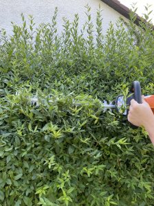 Stihl HSA 50 Akku-Heckenschere Hecke schneiden 7