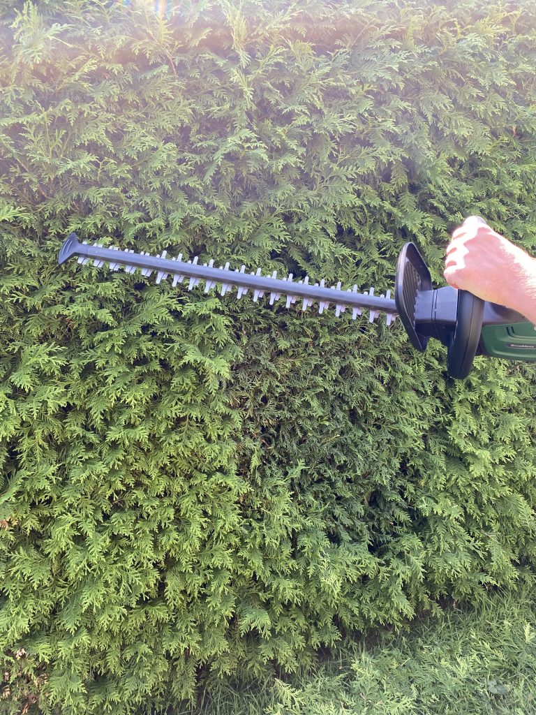 Bosch Universal Hedge Cut 18-55 Akku-Heckenschere Thuja schneiden 1