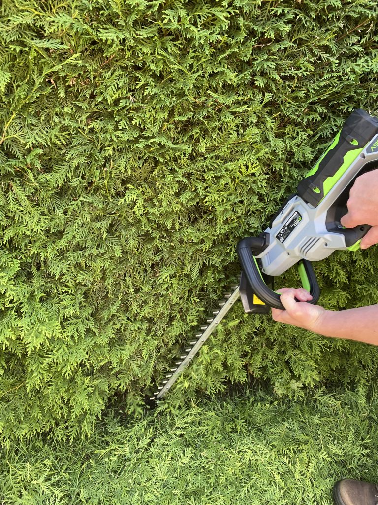 EGO HT2410E Akku-Heckenschere Thuja schneiden 3