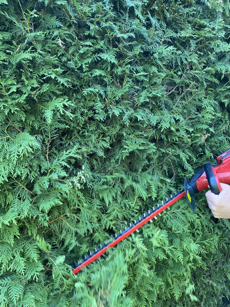 Einhell GE-CH 1846 Li Akku-Heckenschere Thuja schneiden 3