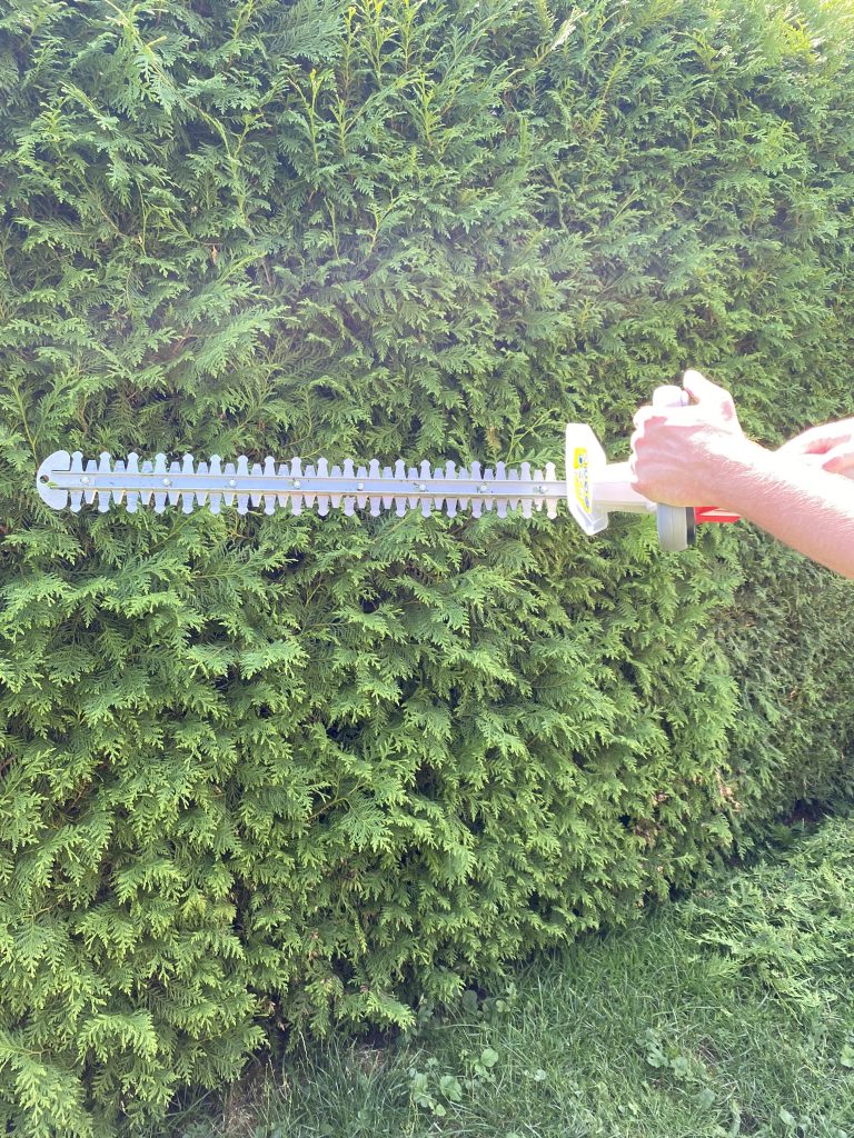 IKRA IAHS 20-1 Akku-Heckenschere Thuja schneiden 1