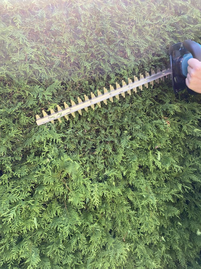 Makita DUH523RF Akku-Heckenschere Thuja schneiden 2