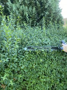 Ryobi ONE+ RY18HT45A-120 Akku-Heckenschere Hecke schneiden 6