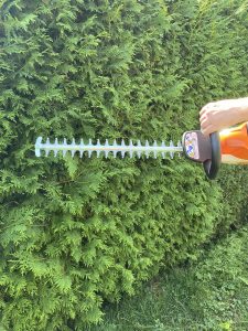 Stihl HSA 50 Akku-Heckenschere Thuja schneiden 1