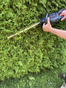 AL-KO HT 1845 Akku-Heckenschere Thuja schneiden 2