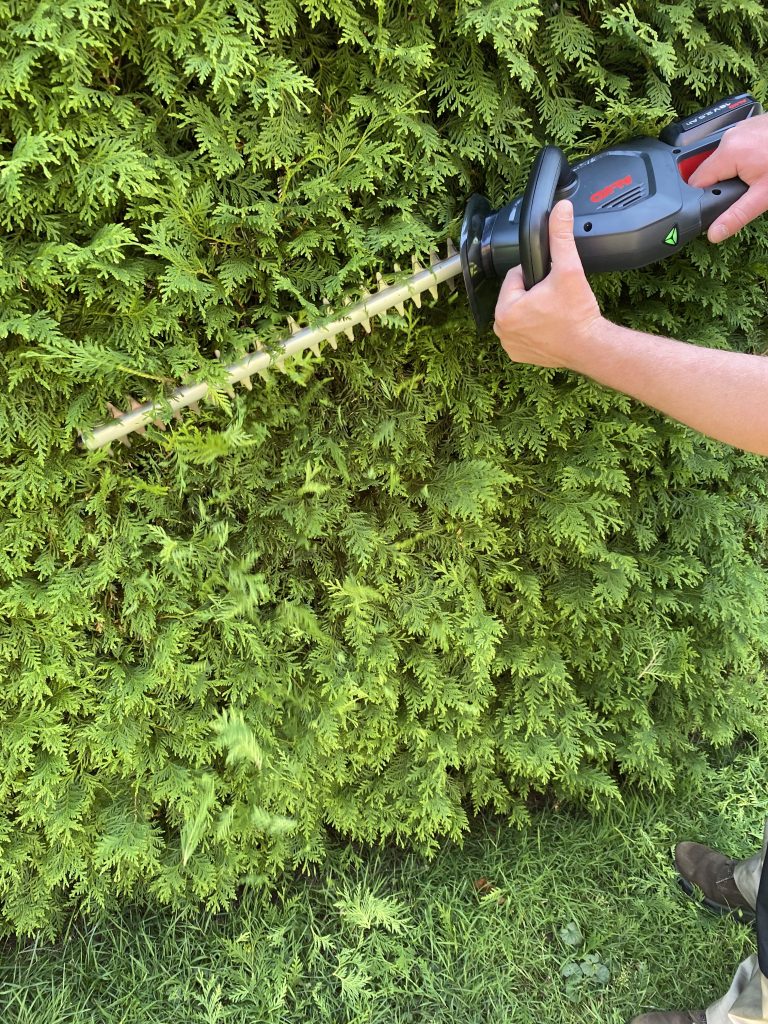 AL-KO HT 1845 Akku-Heckenschere Thuja schneiden 2