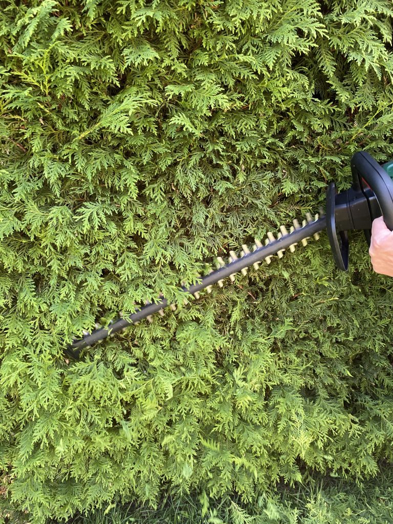 Bosch Universal Hedge Cut 18-55 Akku-Heckenschere Thuja schneiden 2