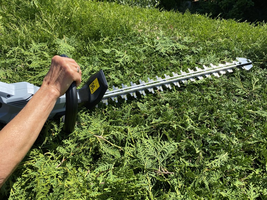 EGO HT2410E Akku-Heckenschere Thuja schneiden 4