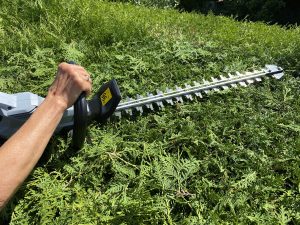 EGO HT2410E Akku-Heckenschere Thuja schneiden 4