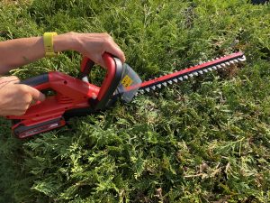 Einhell GE-CH 1846 Li Akku-Heckenschere Thuja schneiden 4