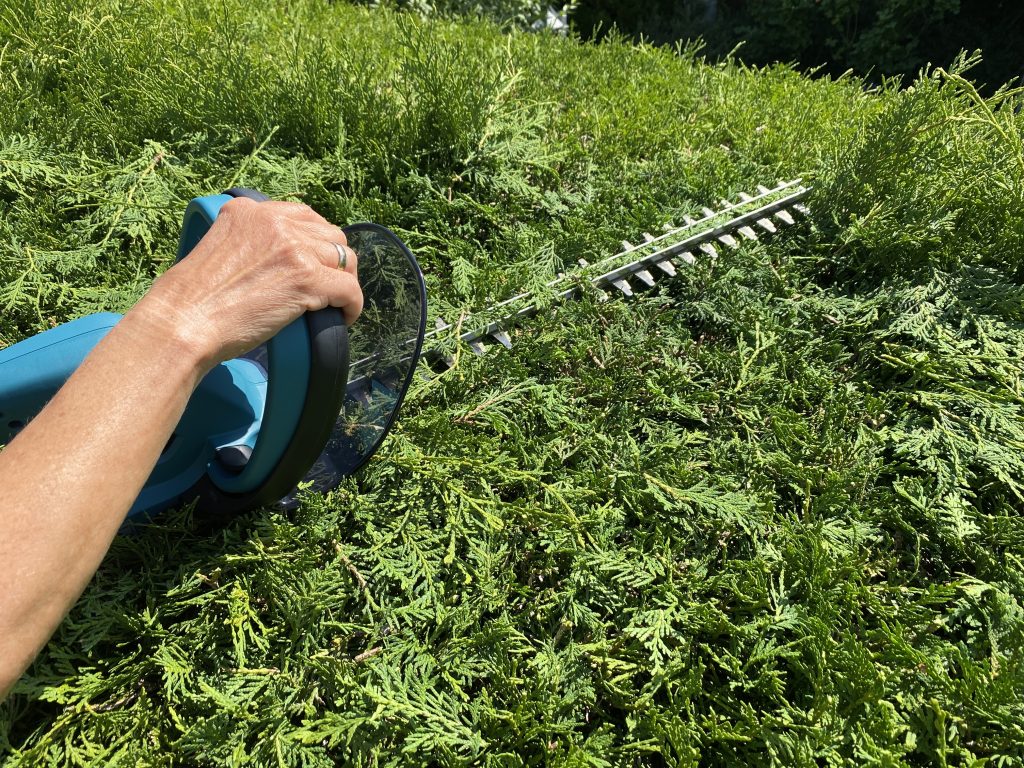 Makita DUH523RF Akku-Heckenschere Thuja schneiden 3