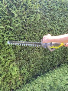 Ryobi ONE+ RY18HT45A-120 Akku-Heckenschere Thuja schneiden 1