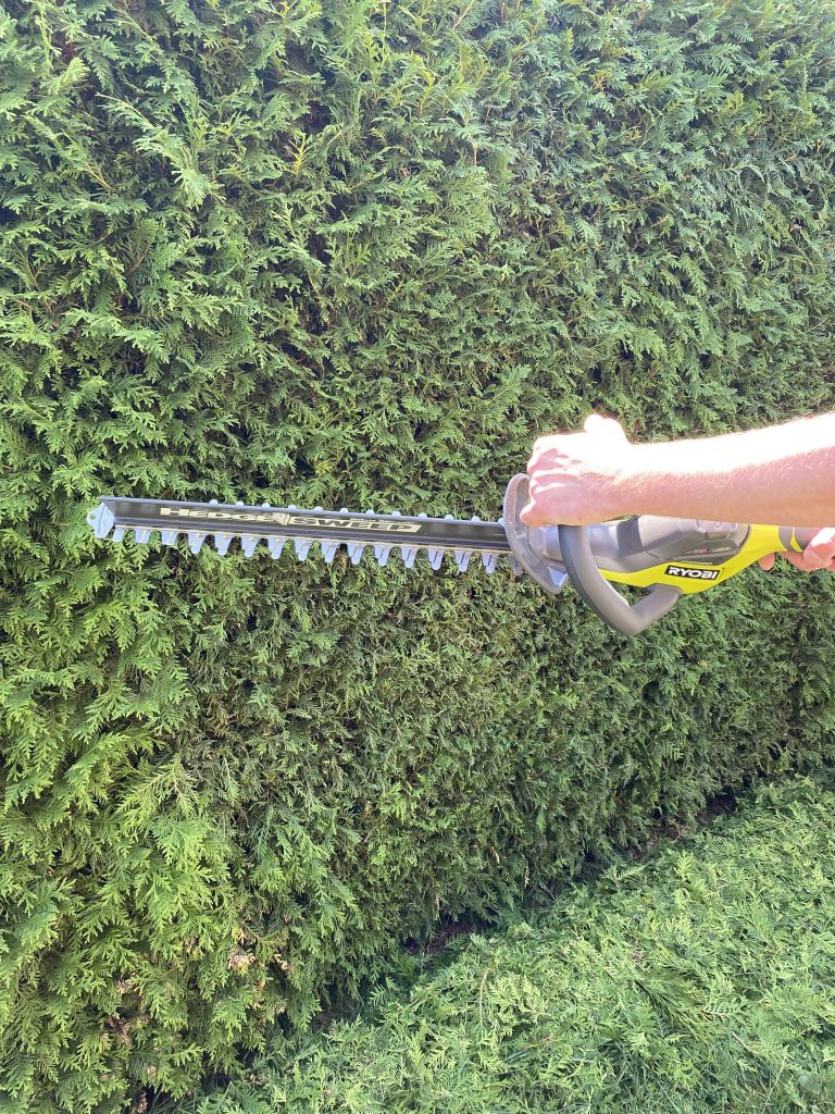 Ryobi ONE+ RY18HT45A-120 Akku-Heckenschere Thuja schneiden 1