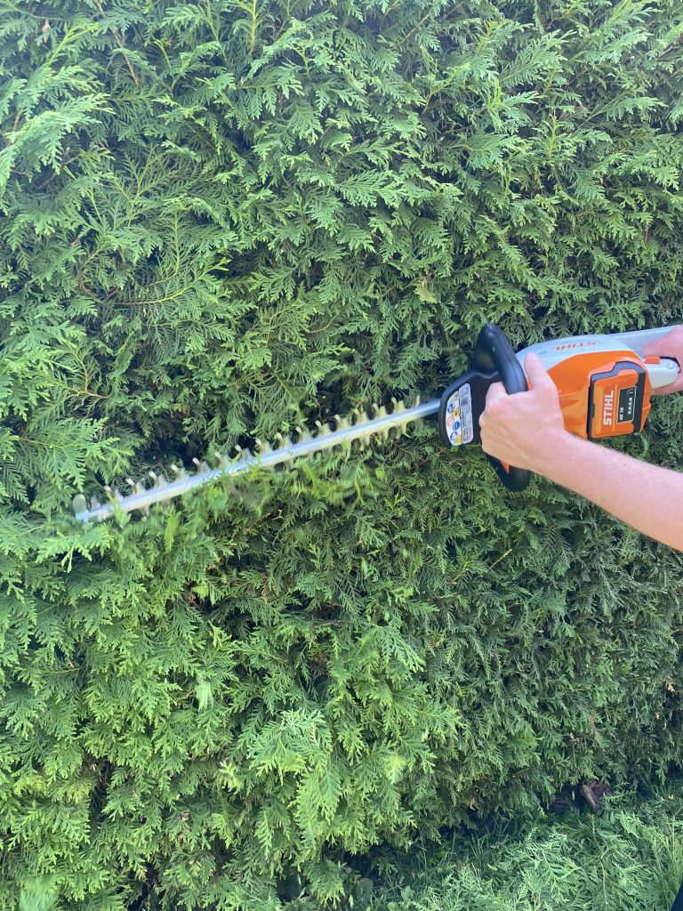 Stihl HSA 50 Akku-Heckenschere Thuja schneiden 2