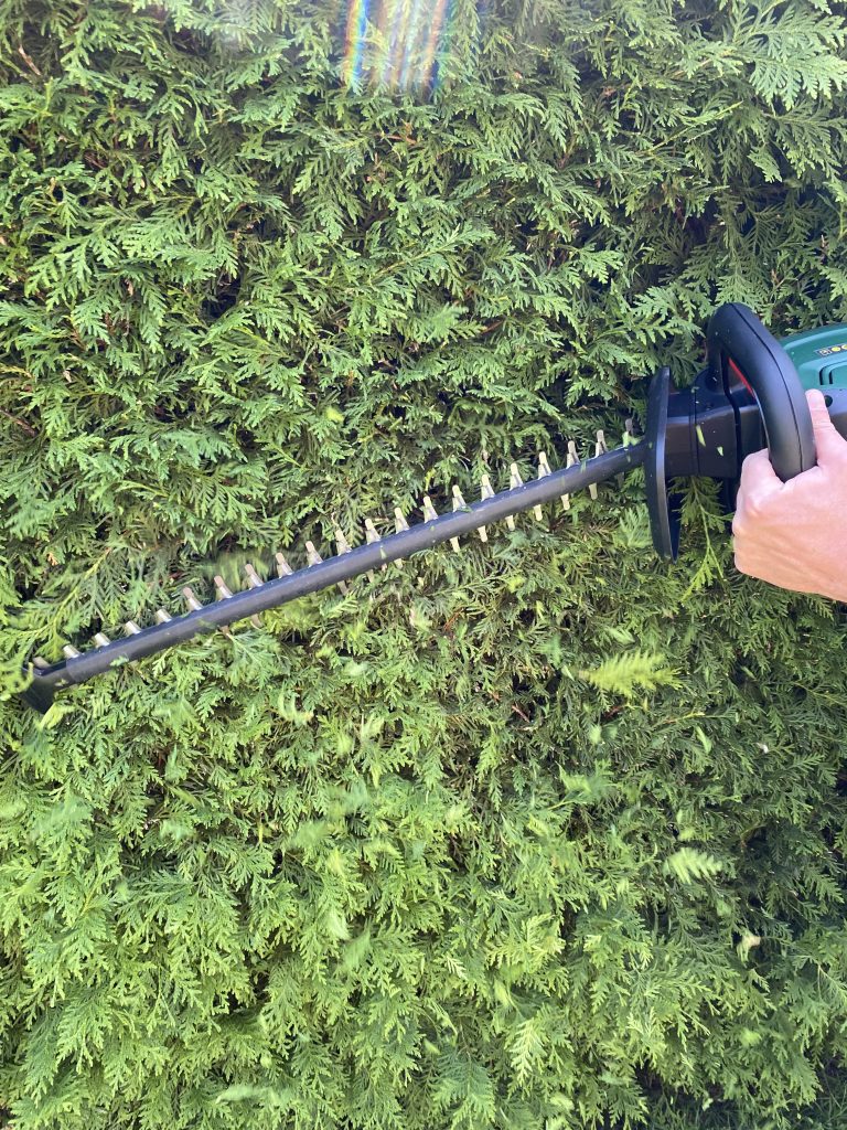 Bosch Universal Hedge Cut 18-55 Akku-Heckenschere Thuja schneiden 3
