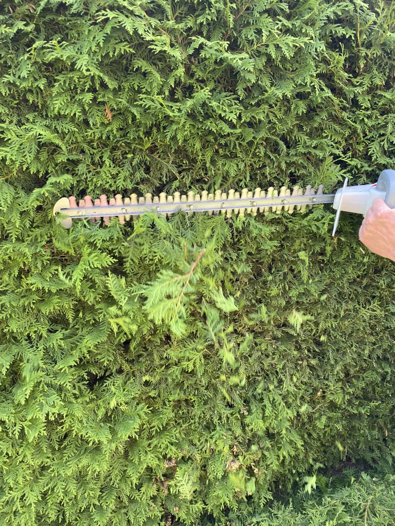 IKRA IAHS 20-1 Akku-Heckenschere Thuja schneiden 3