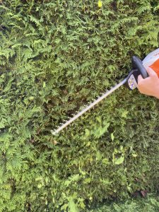 Stihl HSA 50 Akku-Heckenschere Thuja schneiden 3
